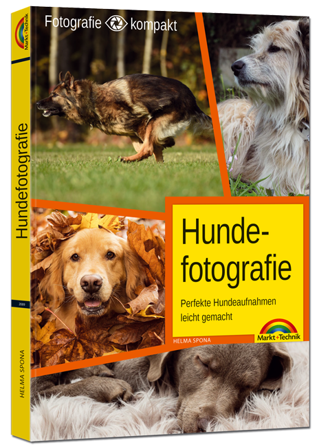 Hundefotografie