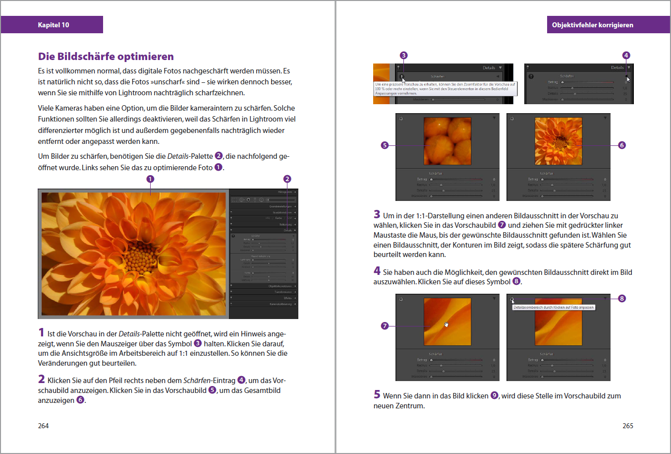 Adobe Lightroom Classic CC