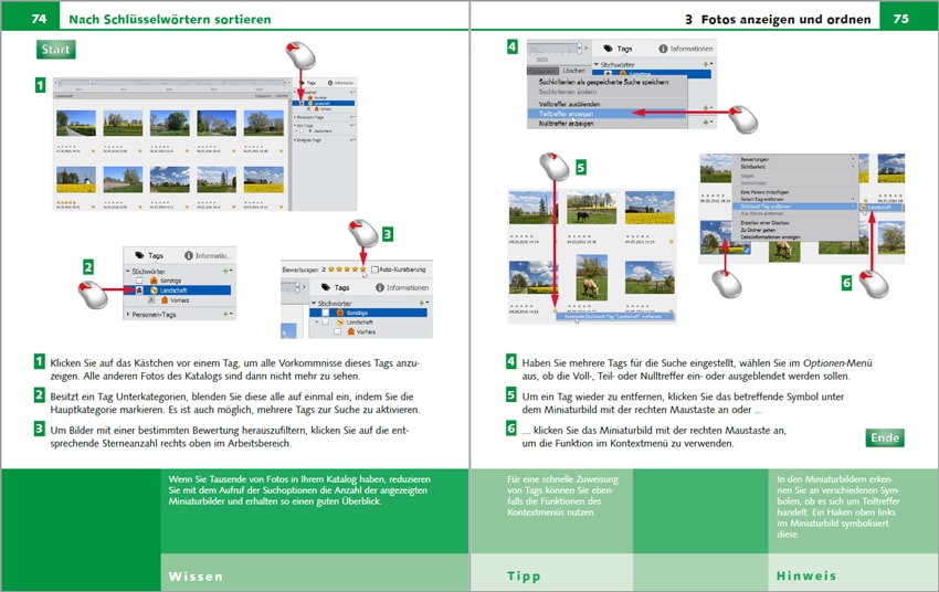 Photoshop Elements 2021 - Sehen und Können