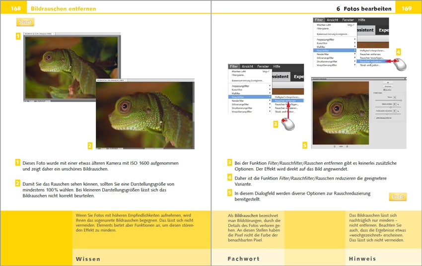 Photoshop Elements 2021 - Sehen und Können