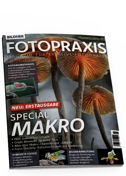 FOTOPRAXIS - Ausgabe 01/2026 Makrofotografie