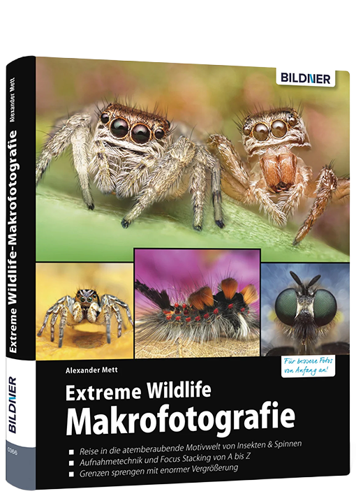 Extreme Wildlife-Makrofotografie