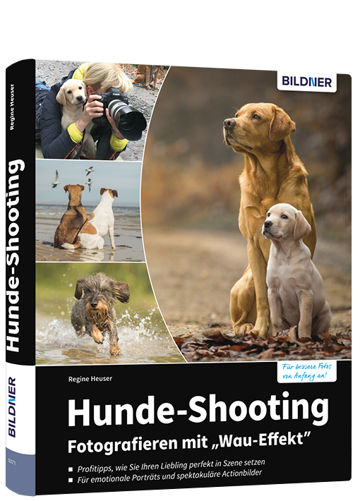 Hunde-Shooting