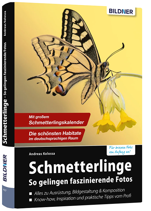 Schmetterlinge