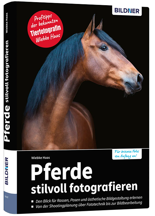 Pferde stilvoll fotografieren