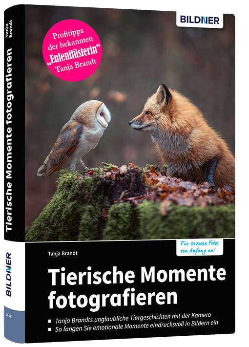 Tierische Momente fotografieren