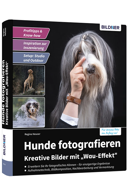 Hunde fotografieren