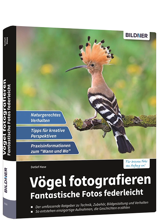 Vögel fotografieren
