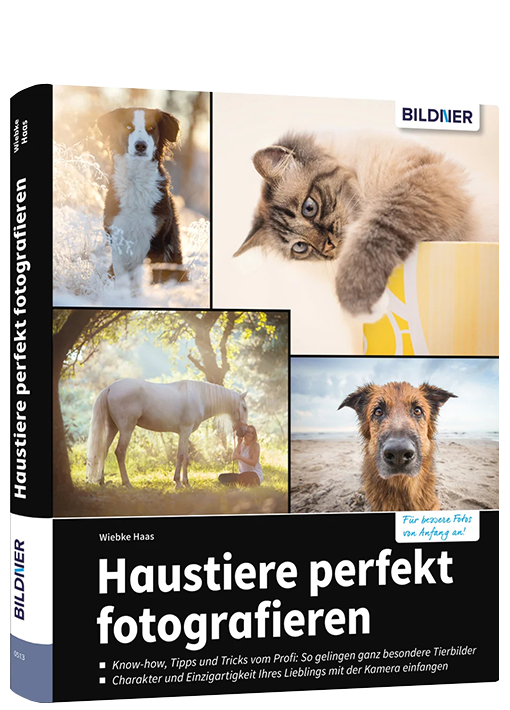 Haustiere perfekt fotografieren