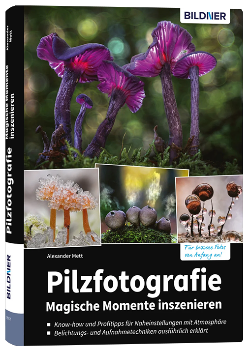 Pilzfotografie