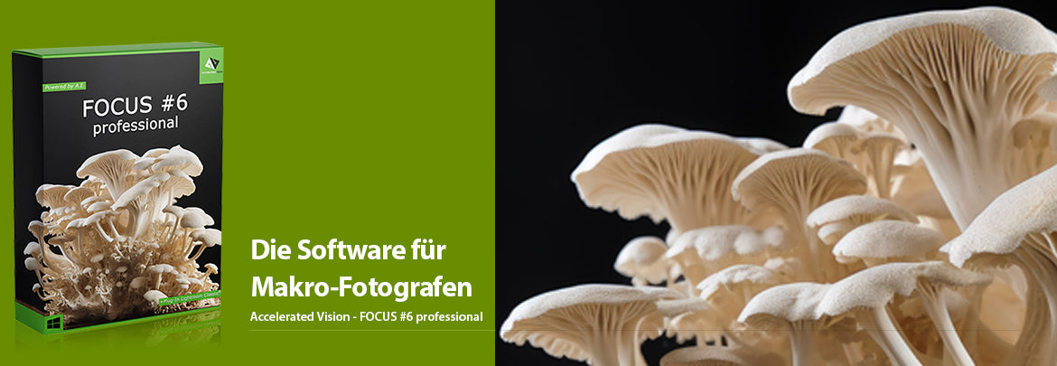 Erleben Sie die Magie des Focus-Stacking 