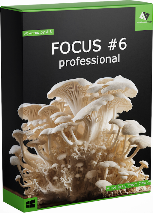 Erleben Sie die Magie des Focus-Stacking 