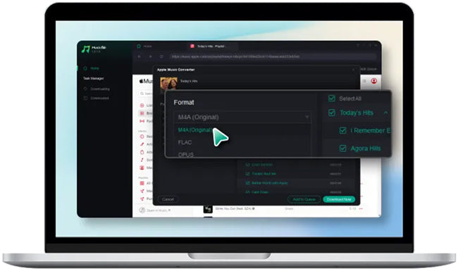 Apple Music Converter und Downloader