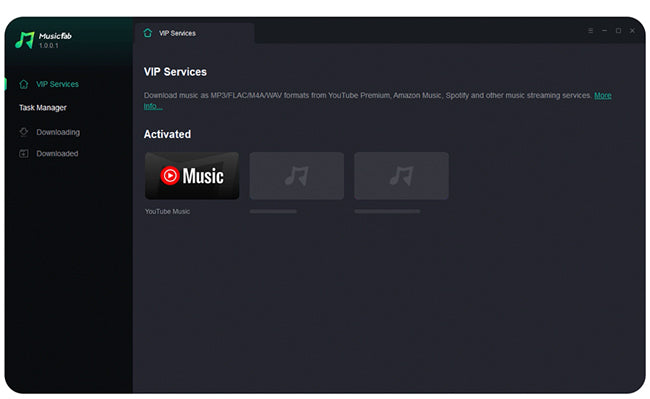 YouTube Music Converter und Downloader