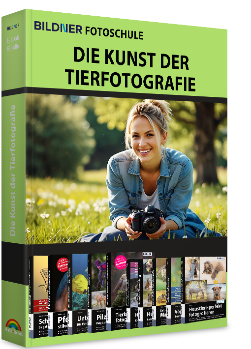Bildner Fotoschule: Die Kunst der Tierfotografie