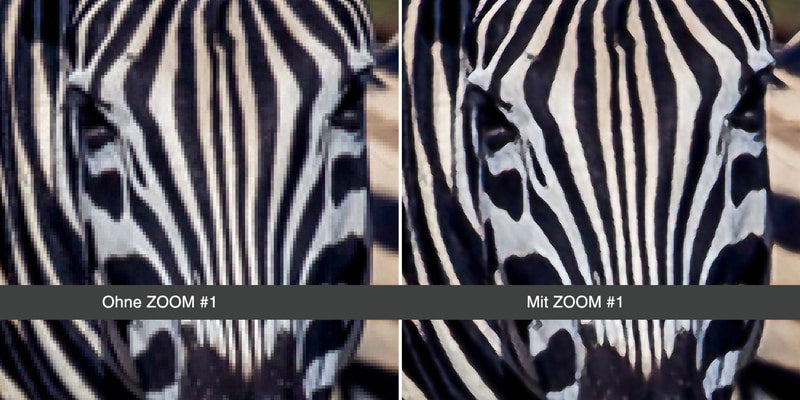 ZOOM #1 - Bilder mit Deep-Learning hochwertig skalieren