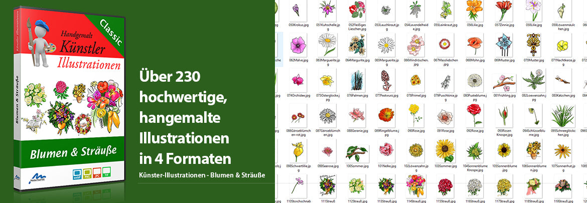 Künstler-Illustrationen Blumen & Sträuße - 230 wunderbare Zeichnungen