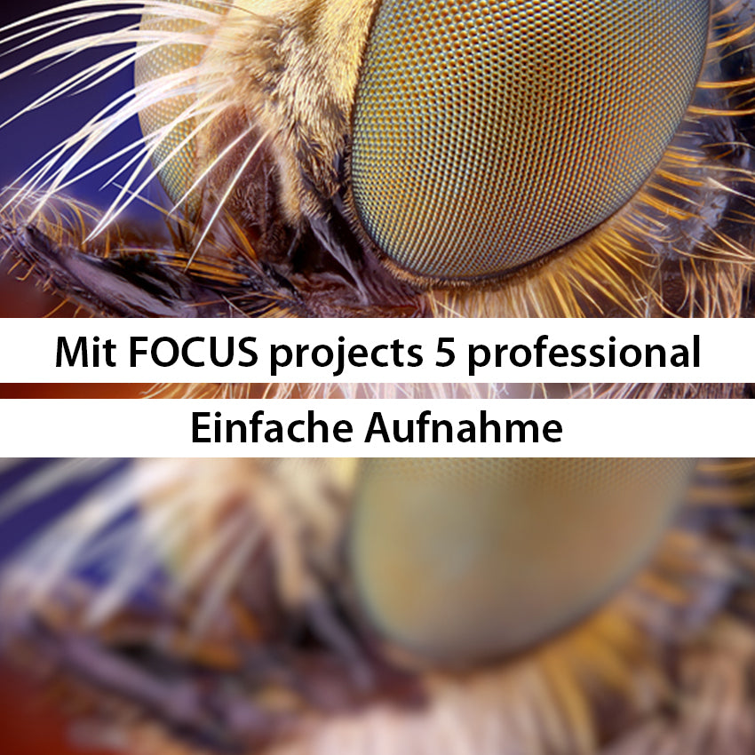 FOCUS projects 5 professional - Für perfekte Makro-Footgrafie