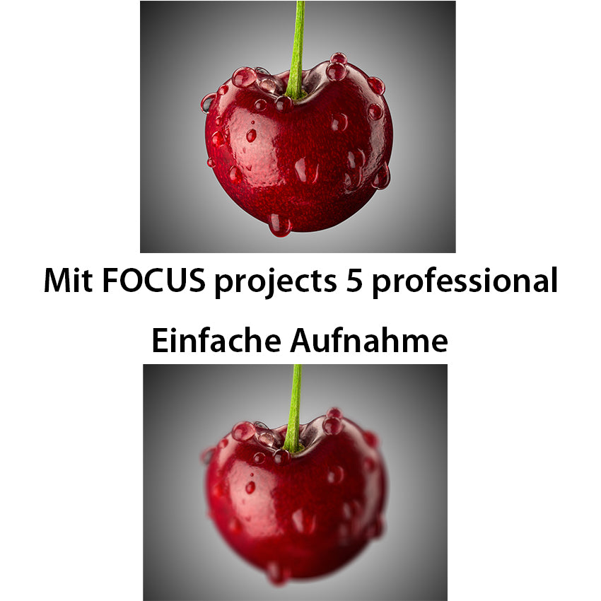 FOCUS projects 5 professional - Für perfekte Makro-Footgrafie