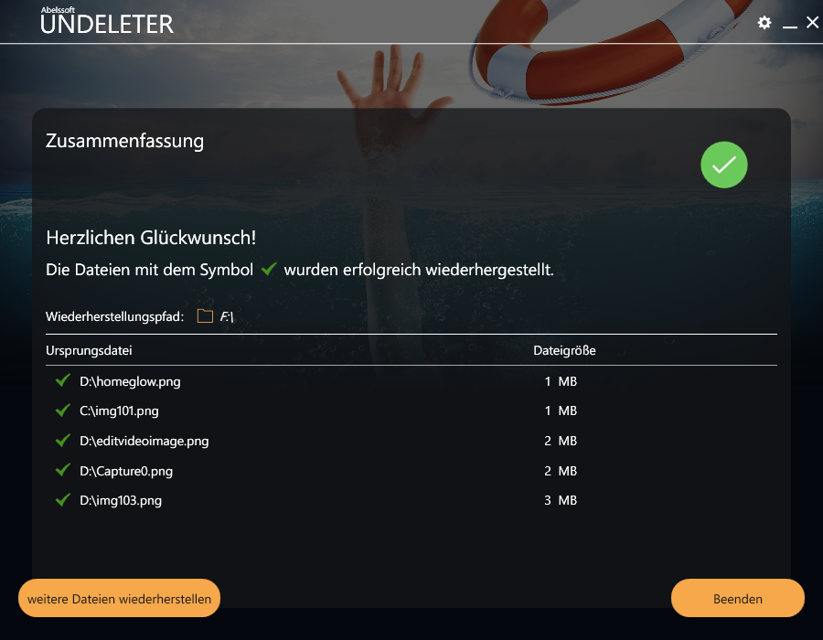 Undeleter 8 - Rettet verloren geglaubte Daten
