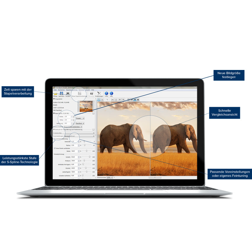 Photozoom 8 peofessional - Ihre Spezialsoftware zum Vergrößern von Fotos.