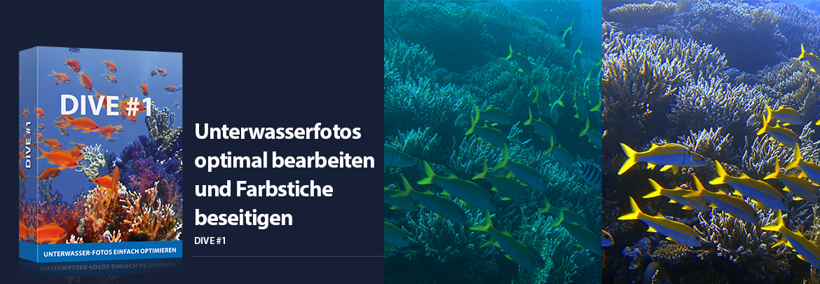 DIVE #1 – Unterwasserfotos optimal bearbeiten und Farbstiche beseitigen