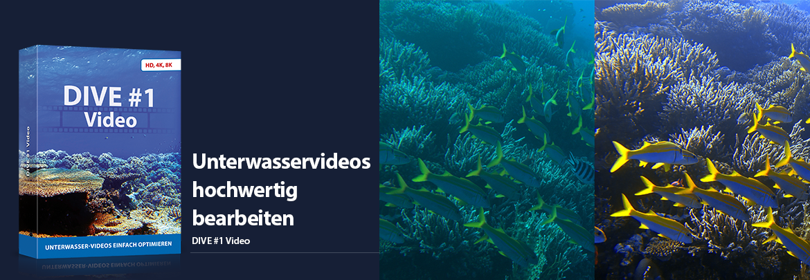 DIVE Video #1 – Unterwasservideos hochwertig bearbeiten