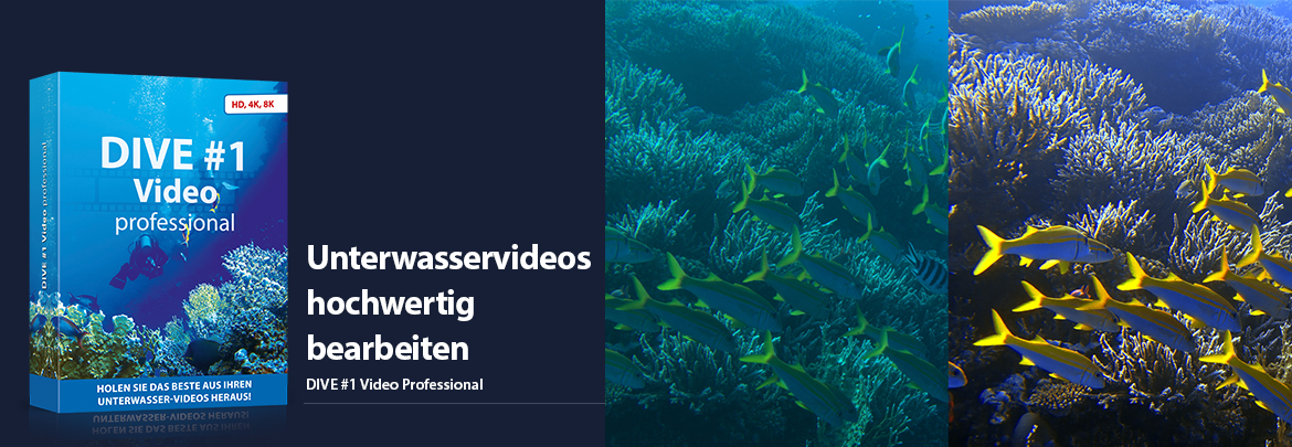 DIVE Video #1 professional – Unterwasservideos hochwertig bearbeiten