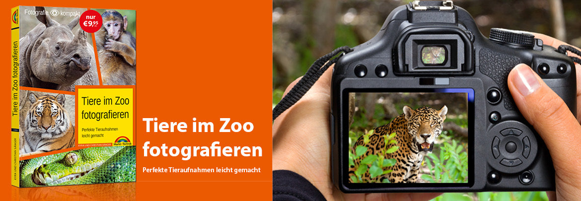 Tiere im Zoo fotografieren - Herausforderung Tierfotografie